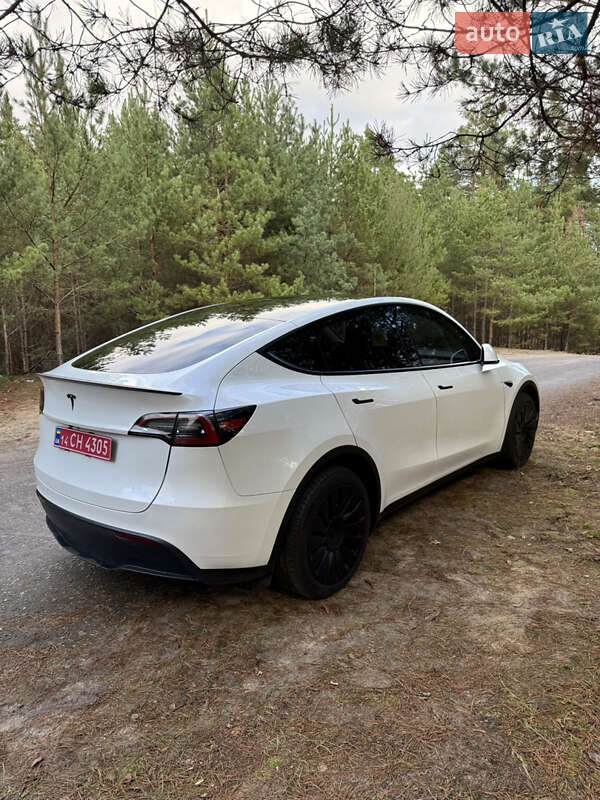 Позашляховик / Кросовер Tesla Model Y 2024 в Києві