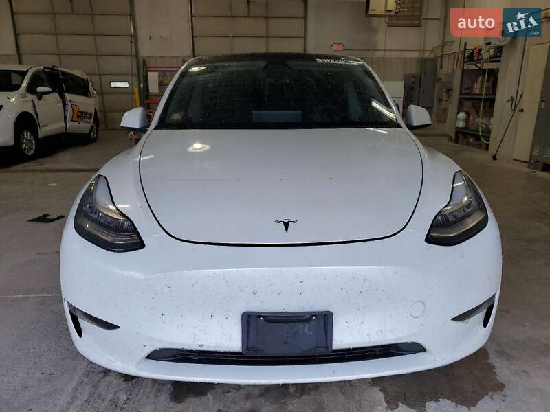 Внедорожник / Кроссовер Tesla Model Y 2020 в Запорожье