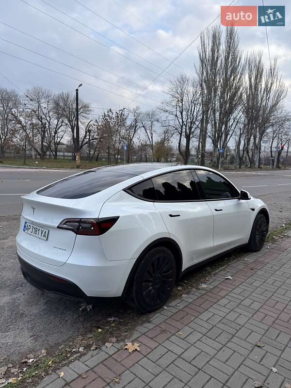 Внедорожник / Кроссовер Tesla Model Y 2024 в Запорожье