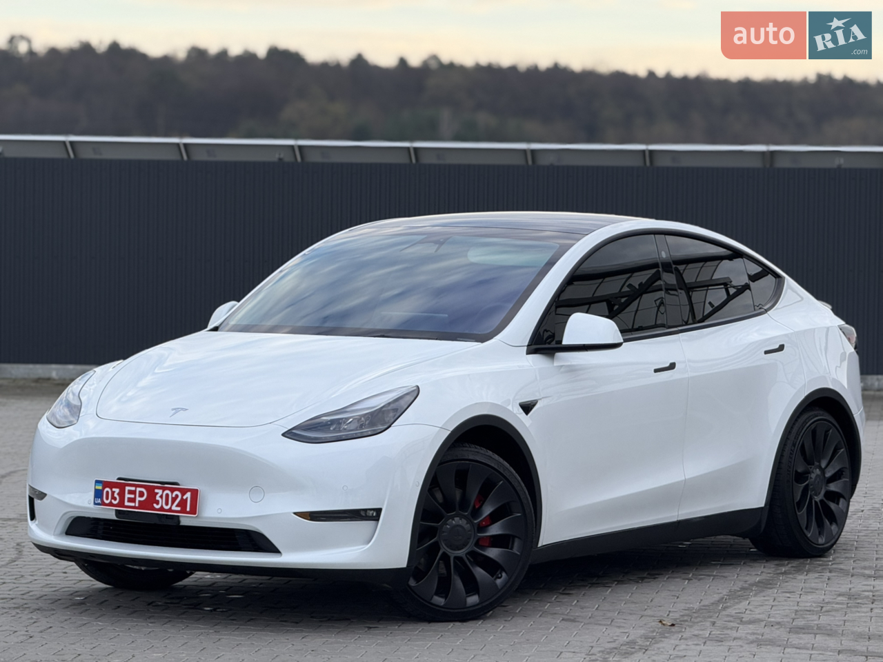 2021 Tesla Model Y - мініатюра 27