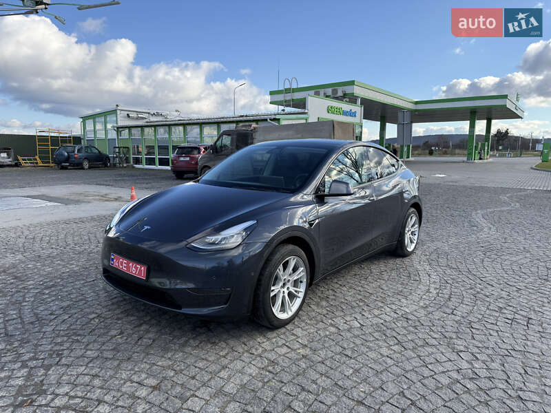 Позашляховик / Кросовер Tesla Model Y 2022 в Золочеві