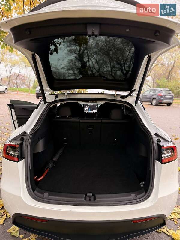 Позашляховик / Кросовер Tesla Model Y 2020 в Одесі