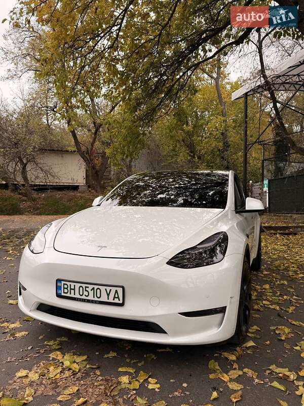 Позашляховик / Кросовер Tesla Model Y 2020 в Одесі