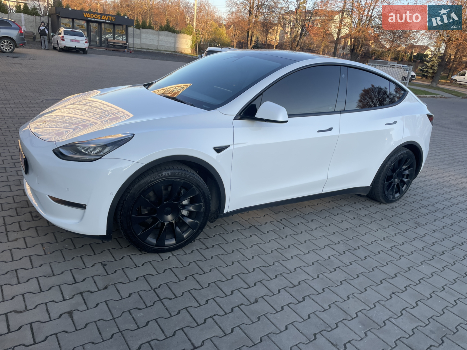 2022 Tesla Model Y - мініатюра 5