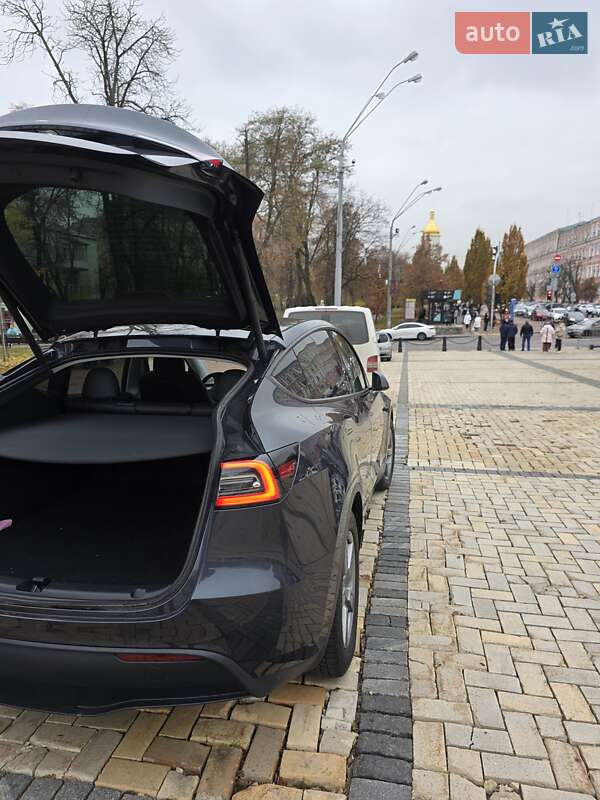 Позашляховик / Кросовер Tesla Model Y 2024 в Києві