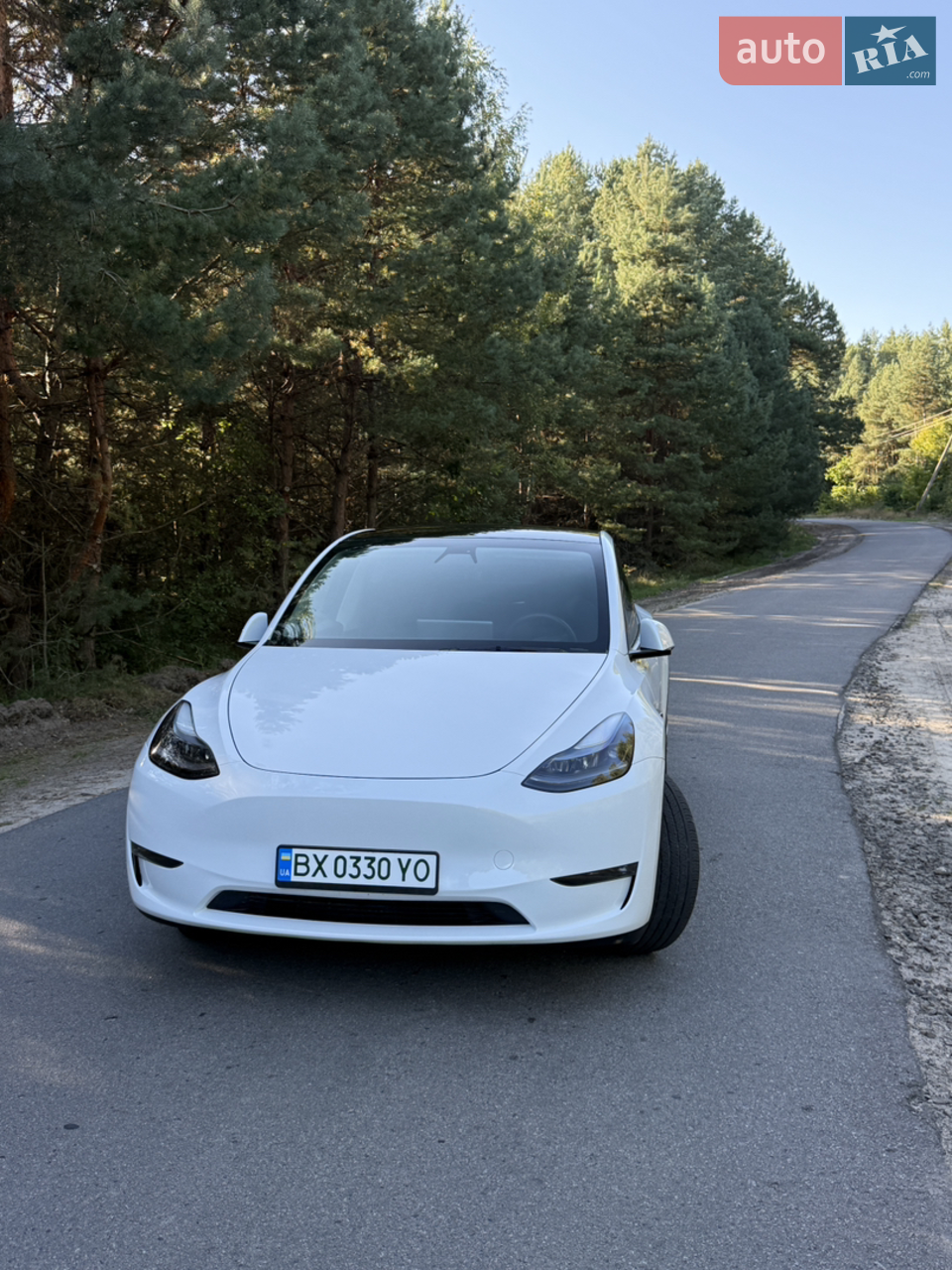 2022 Tesla Model Y - мініатюра 46