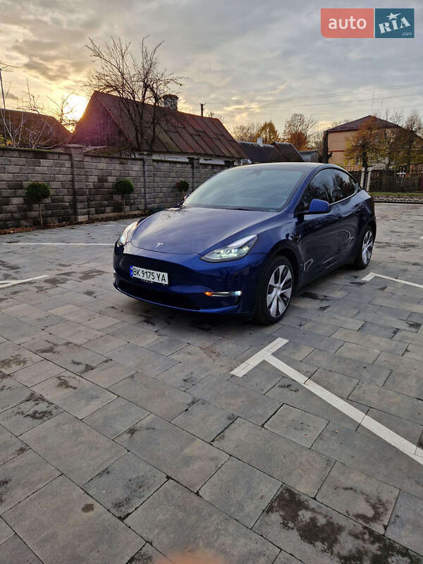 Позашляховик / Кросовер Tesla Model Y 2023 в Рівному