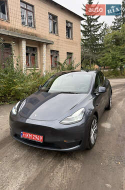 Внедорожник / Кроссовер Tesla Model Y 2023 в Умани