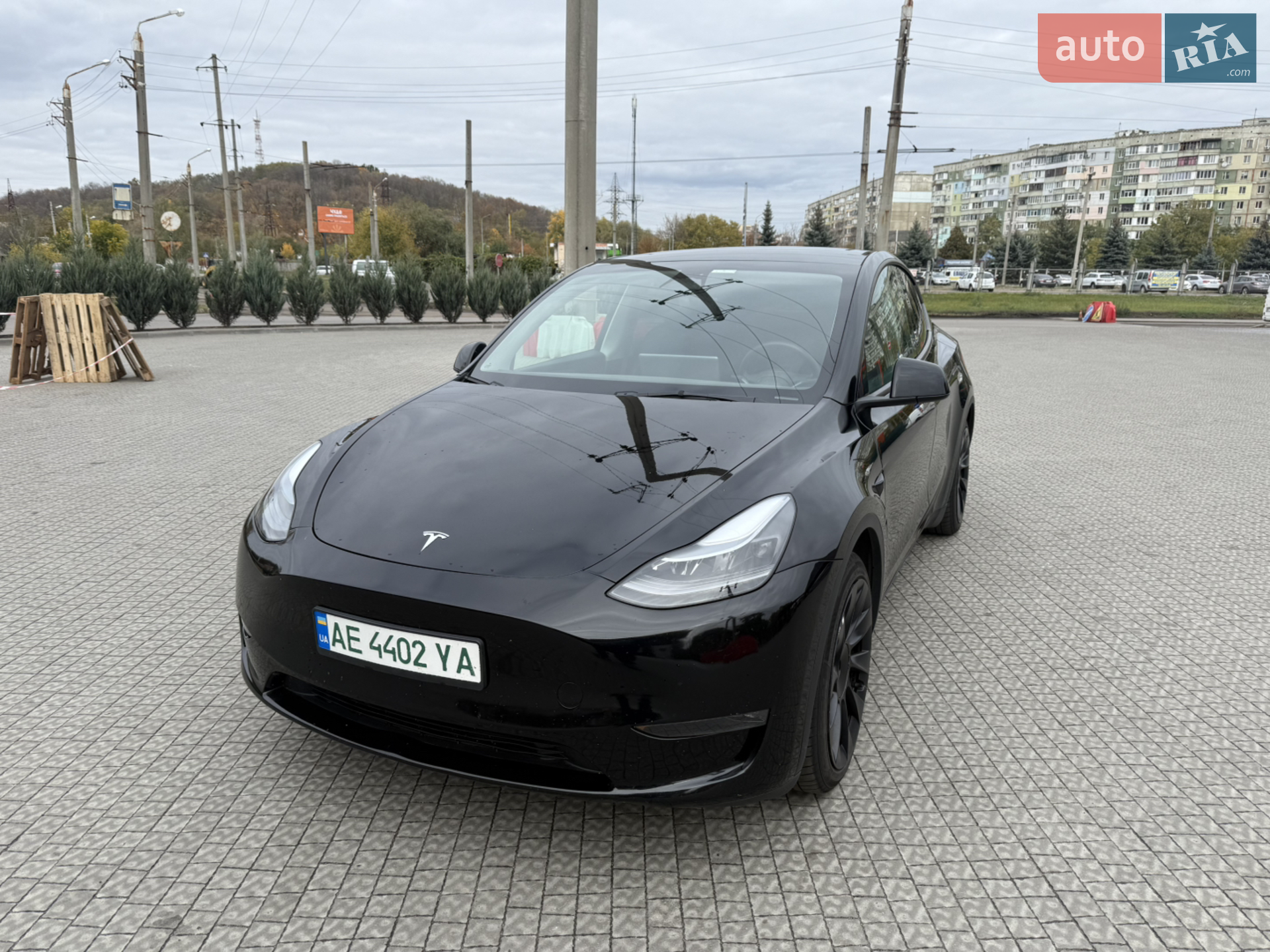 2023 Tesla Model Y - фото 1