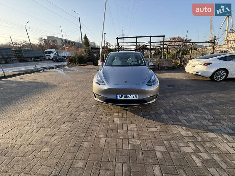 Внедорожник / Кроссовер Tesla Model Y 2024 в Днепре