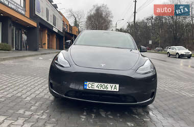 Внедорожник / Кроссовер Tesla Model Y 2024 в Черновцах