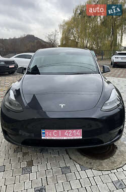 Внедорожник / Кроссовер Tesla Model Y 2024 в Львове