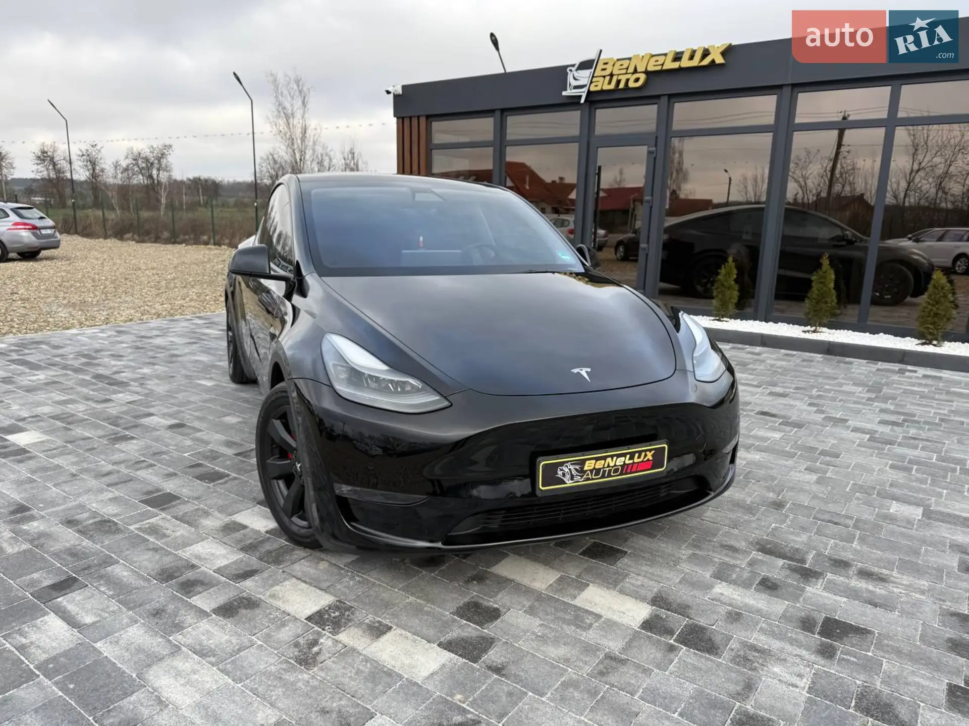 2022 Tesla Model Y - мініатюра 4
