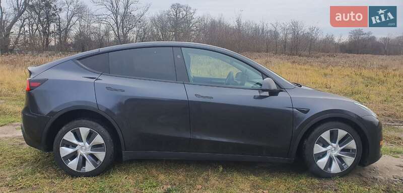 Внедорожник / Кроссовер Tesla Model Y 2024 в Киеве