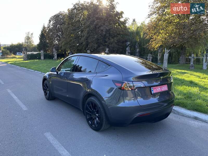 Внедорожник / Кроссовер Tesla Model Y 2023 в Луцке