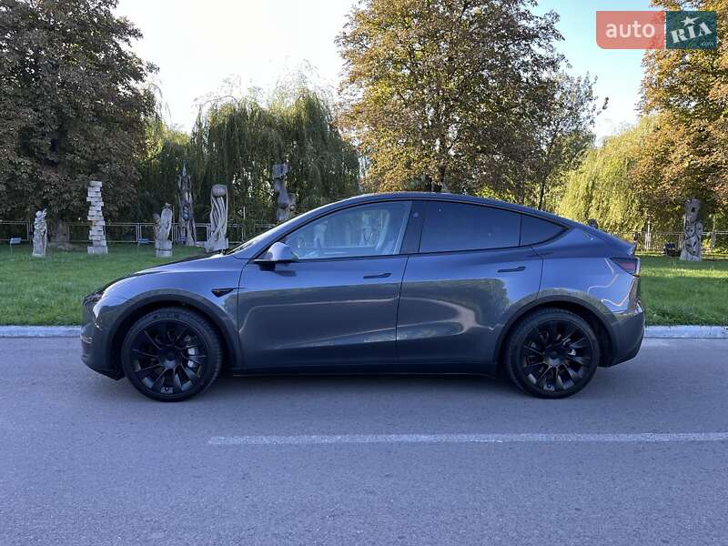 Внедорожник / Кроссовер Tesla Model Y 2023 в Луцке