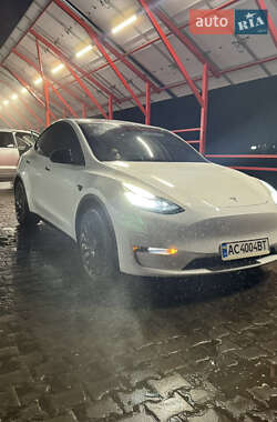 Внедорожник / Кроссовер Tesla Model Y 2020 в Луцке