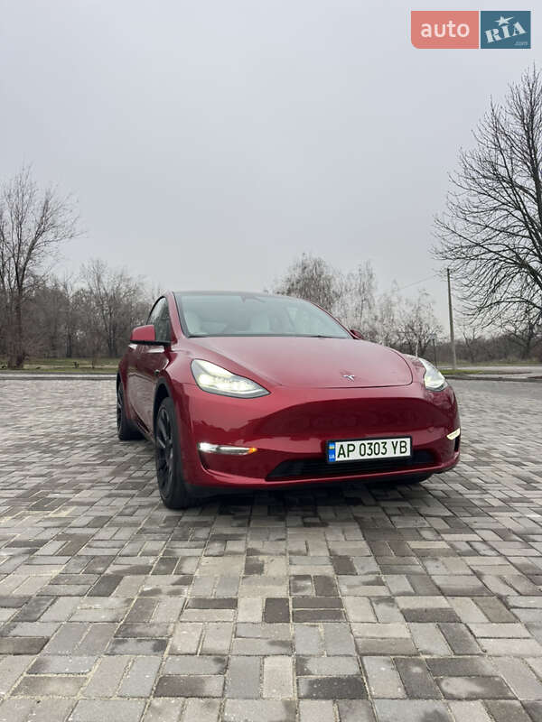 Внедорожник / Кроссовер Tesla Model Y 2024 в Запорожье