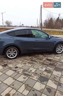 Внедорожник / Кроссовер Tesla Model Y 2020 в Самборе