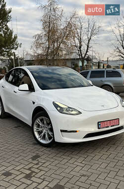Позашляховик / Кросовер Tesla Model Y 2021 в Львові