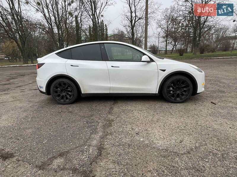 Внедорожник / Кроссовер Tesla Model Y 2020 в Харькове