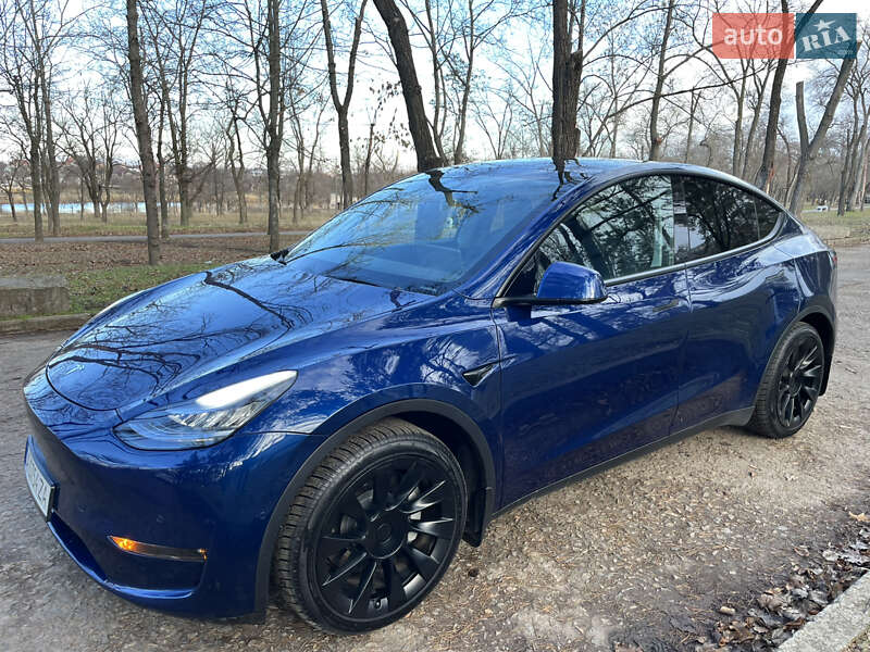 Внедорожник / Кроссовер Tesla Model Y 2021 в Кривом Роге