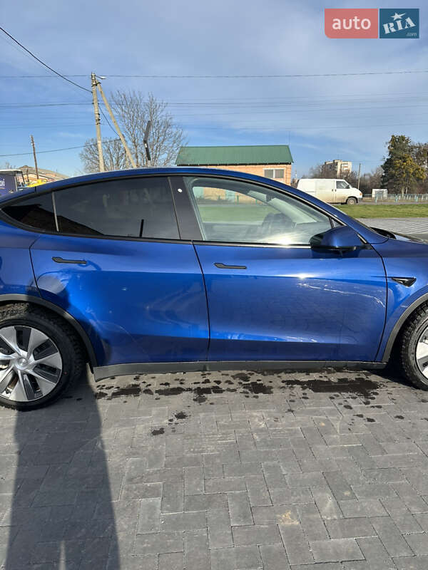 Внедорожник / Кроссовер Tesla Model Y 2020 в Лубнах