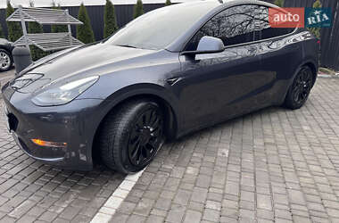 Внедорожник / Кроссовер Tesla Model Y 2024 в Звягеле