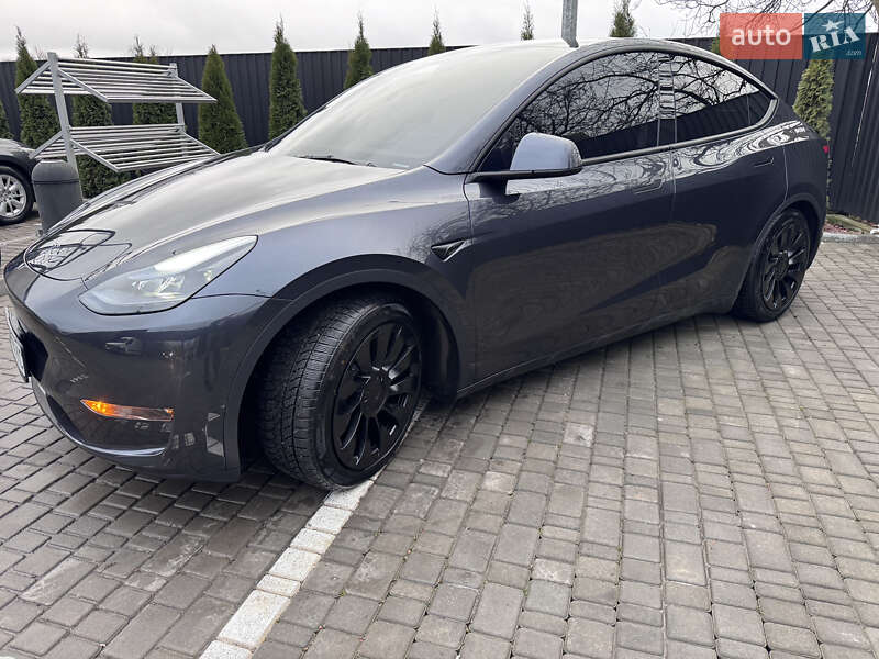 Позашляховик / Кросовер Tesla Model Y 2024 в Звягелі фото Позашляховик / Кросовер Tesla Model Y 2024 в Звягелі