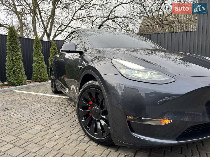 Позашляховик / Кросовер Tesla Model Y 2024 в Звягелі фото 21 Позашляховик / Кросовер Tesla Model Y 2024 в Звягелі
