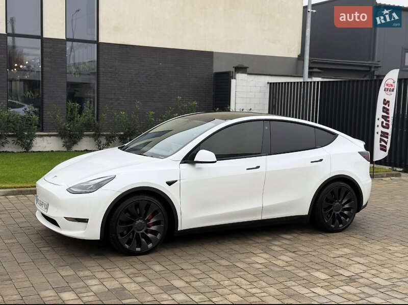 Внедорожник / Кроссовер Tesla Model Y 2021 в Ужгороде фото 10 Внедорожник / Кроссовер Tesla Model Y 2021 в Ужгороде