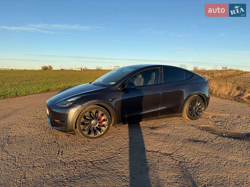 Внедорожник / Кроссовер Tesla Model Y 2024 в Одессе
