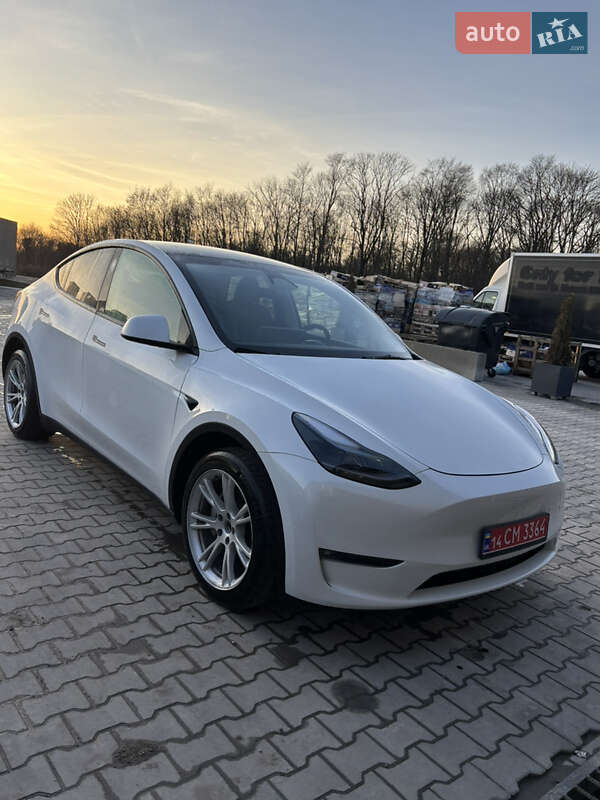 Внедорожник / Кроссовер Tesla Model Y 2023 в Тернополе