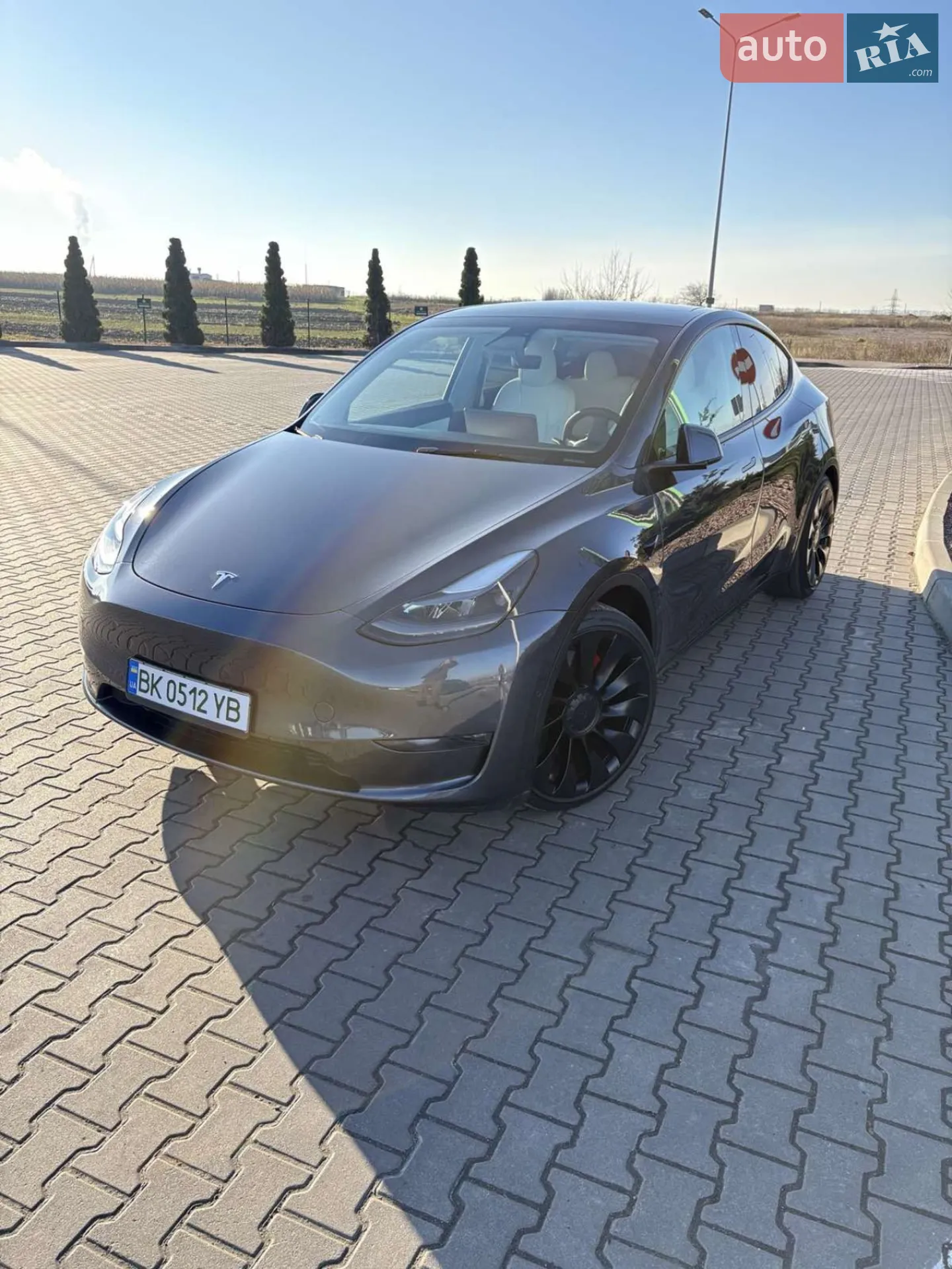 2021 Tesla Model Y - мініатюра 5