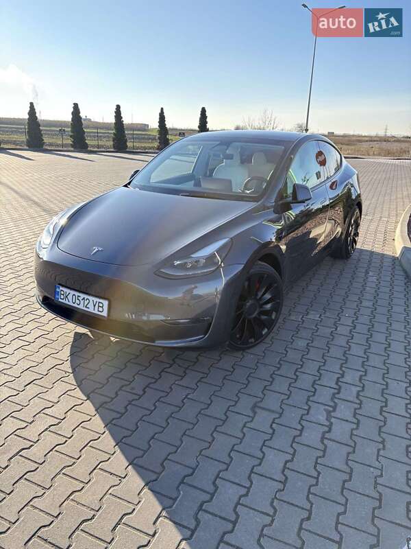Внедорожник / Кроссовер Tesla Model Y 2021 в Ровно