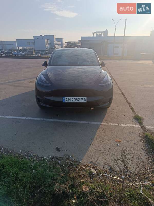 Внедорожник / Кроссовер Tesla Model Y 2024 в Коростене
