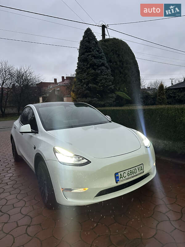 Внедорожник / Кроссовер Tesla Model Y 2020 в Луцке