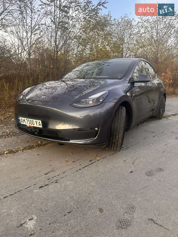 Позашляховик / Кросовер Tesla Model Y 2023 в Олевську фото 2 Позашляховик / Кросовер Tesla Model Y 2023 в Олевську