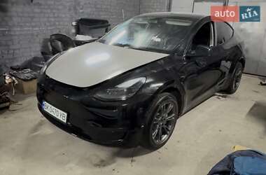 Внедорожник / Кроссовер Tesla Model Y 2024 в Сарнах