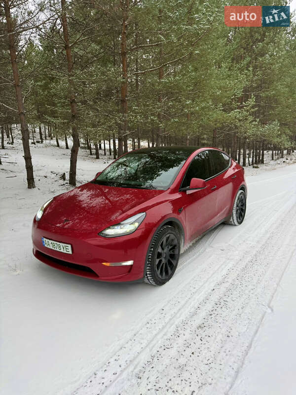 2023 Tesla Model Y, VIN 7SAYGDEE2PF827992:plate — фото 1 (autoria)