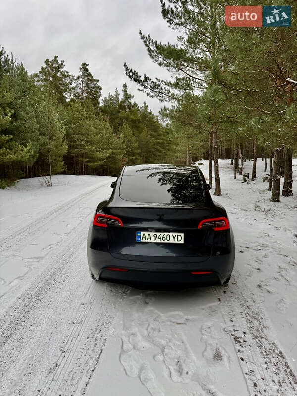 Внедорожник / Кроссовер Tesla Model Y 2024 в Броварах