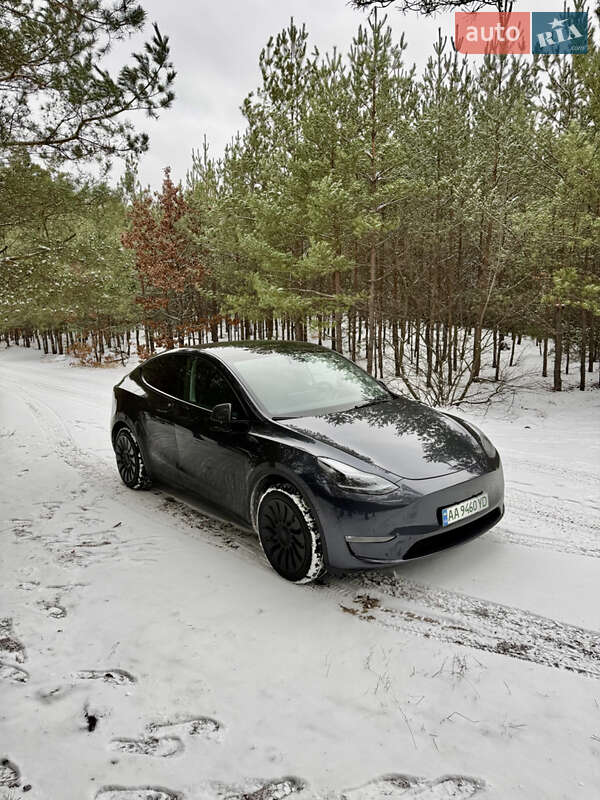 Внедорожник / Кроссовер Tesla Model Y 2024 в Броварах