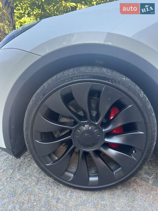 Внедорожник / Кроссовер Tesla Model Y 2023 в Черновцах