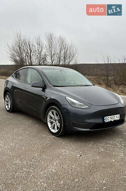 Позашляховик / Кросовер Tesla Model Y 2023 в Тернополі