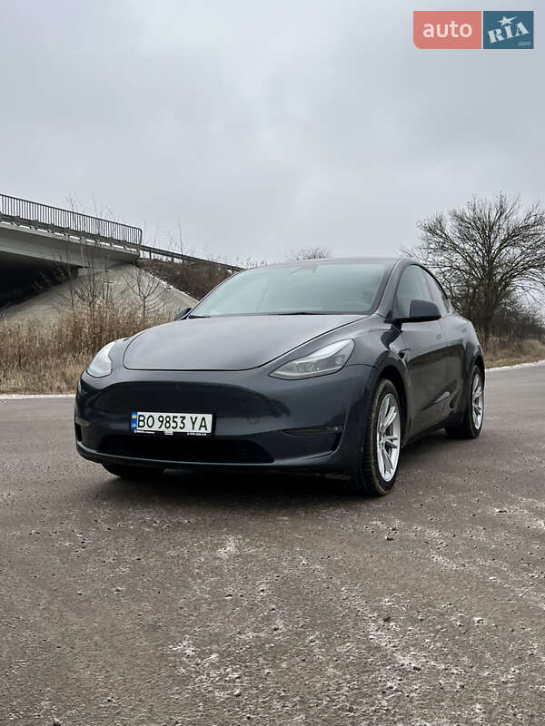 Позашляховик / Кросовер Tesla Model Y 2023 в Тернополі