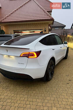 Внедорожник / Кроссовер Tesla Model Y 2022 в Луцке