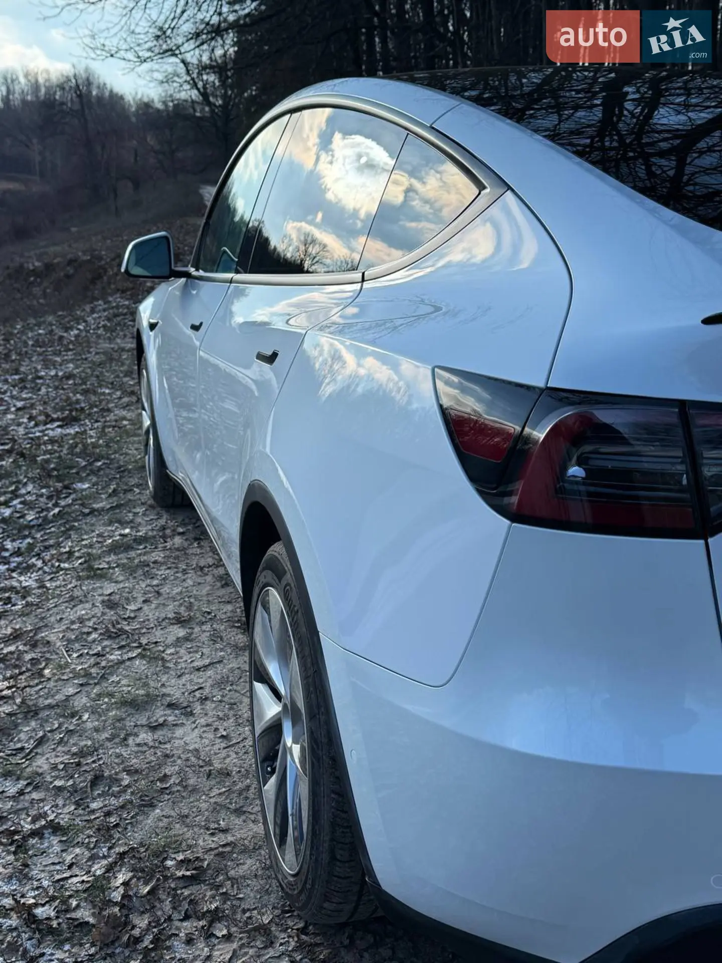 2021 Tesla Model Y - мініатюра 5