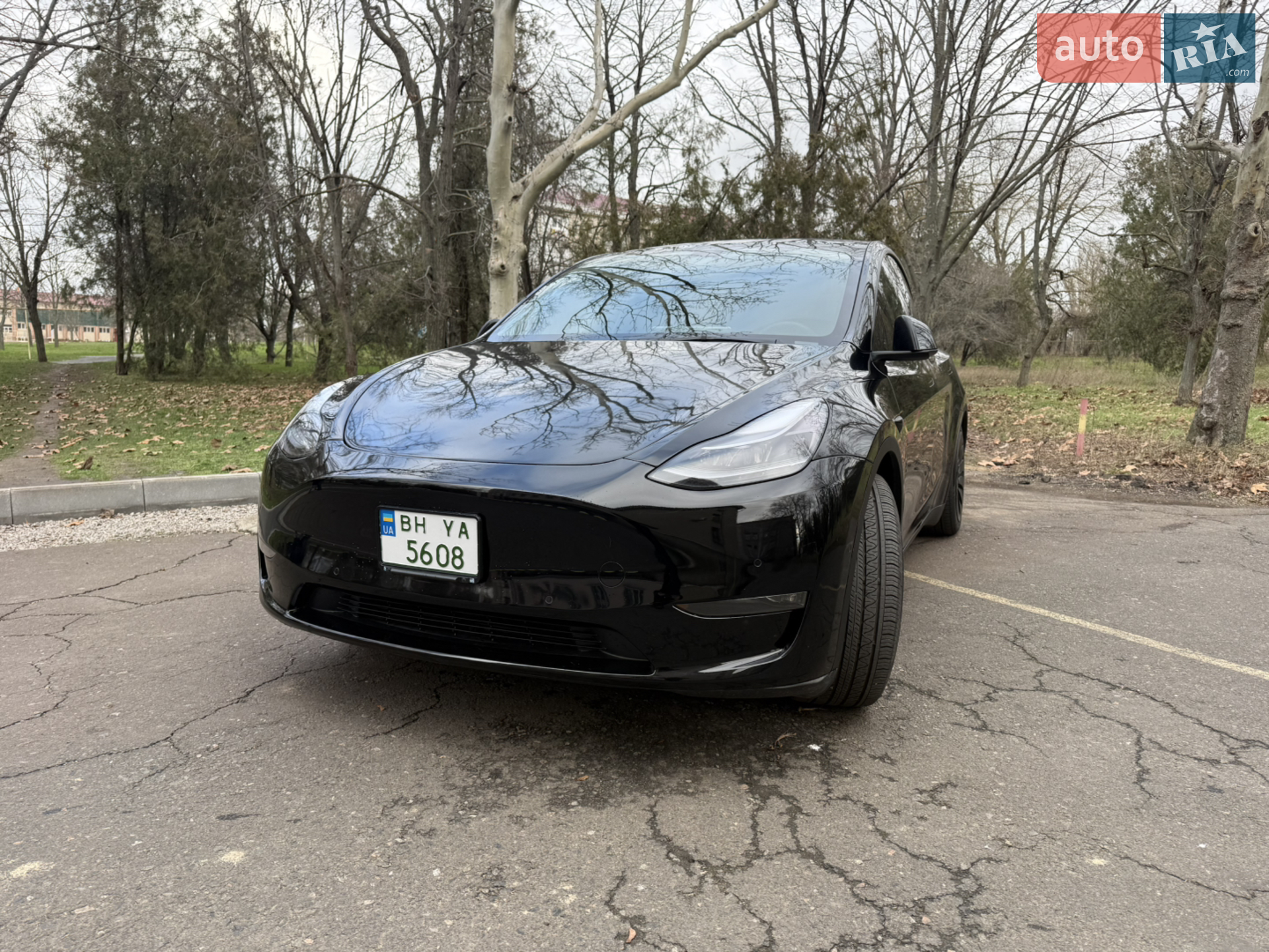 2022 Tesla Model Y - фото 1