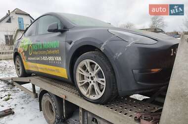 Позашляховик / Кросовер Tesla Model Y 2024 в Білій Церкві