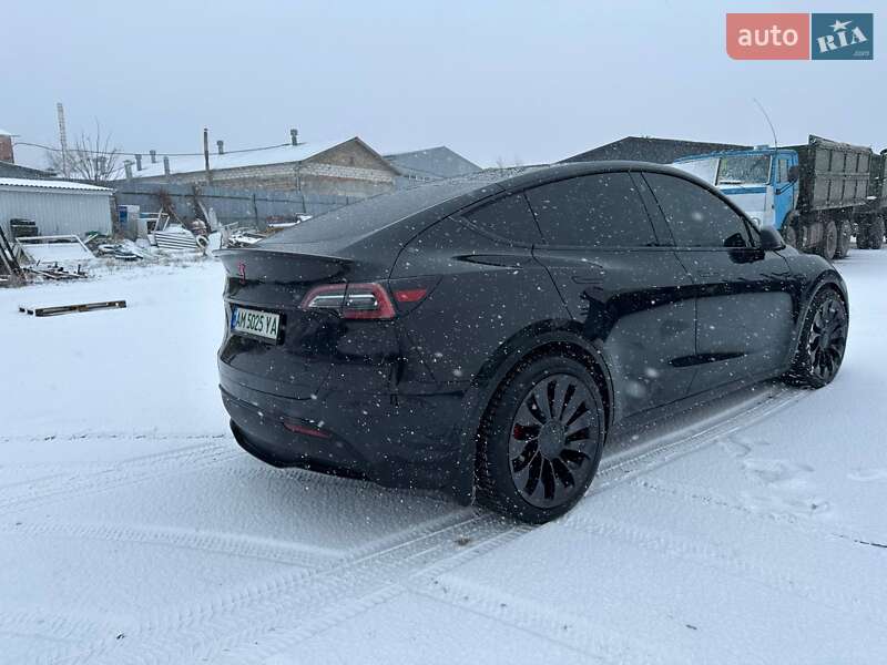 Позашляховик / Кросовер Tesla Model Y 2021 в Києві